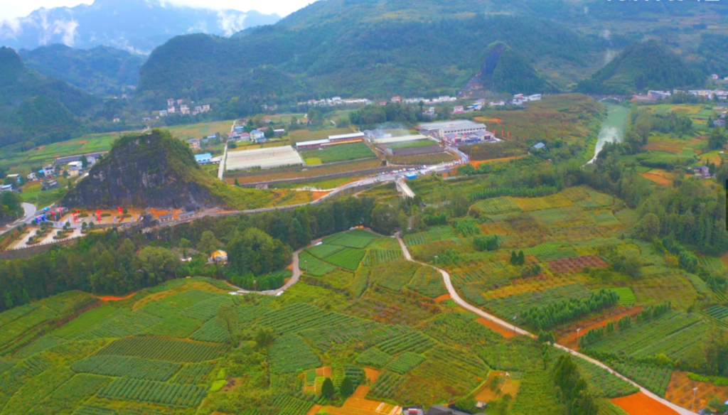 Honeyview_image003.jpg Honeyview_image003.jpg